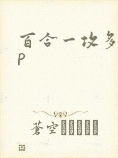 百合一攻多受np