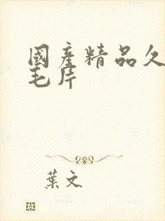 国产精品久久久毛片