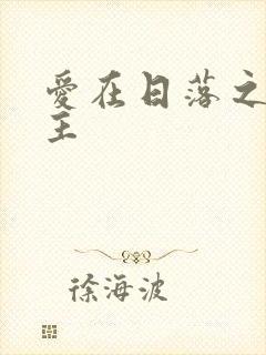 爱在日落之前女主