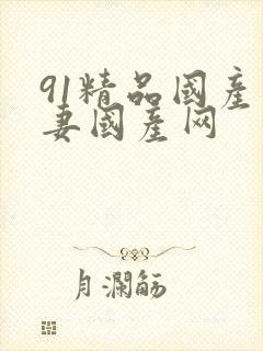 91精品国产人妻国产网