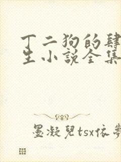 丁二狗的肆意人生小说全集免费阅读