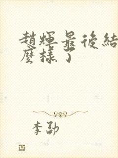 赵辉最后结局怎么样了封面