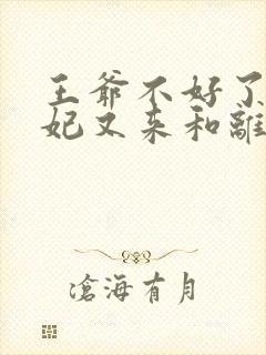 王爷不好了,王妃又来和离了完整版封面