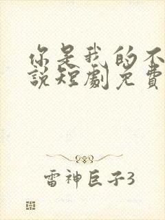 你是我的不可言说短剧免费观看全集