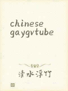chinesegaygvtube