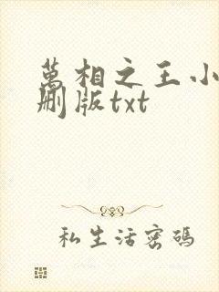 万相之王小说未删版txt