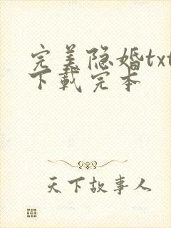 完美隐婚txt下载完本