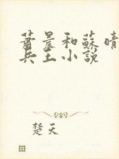 萧晨和苏晴全能兵王小说