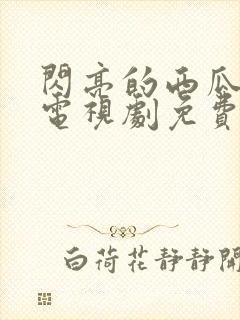 闪亮的西瓜韩剧电视剧免费观看全集封面