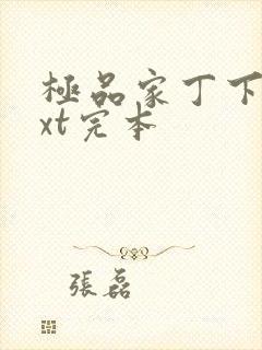 极品家丁下载txt完本