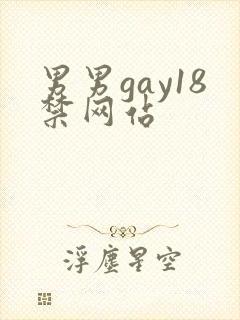 男男gay18禁网站
