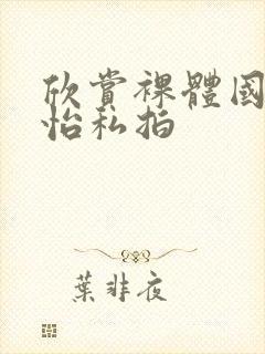 欣赏裸体国模梦怡私拍