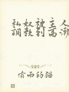 私奴被主人玩弄调教到高潮小说