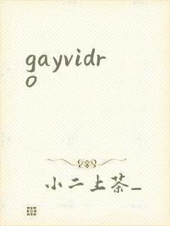 gayvidro