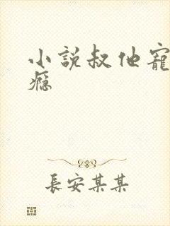 小说叔他宠妻上瘾封面