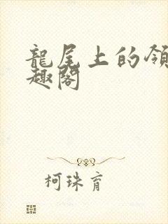 龙尾上的领主笔趣阁