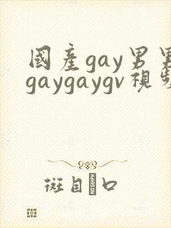 国产gay男男gaygaygv视频封面
