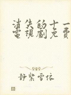 消失的十一层 电视剧免费