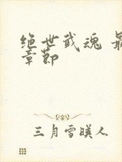 绝世武魂 最新章节