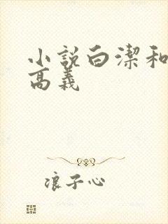 小说白洁和校长高义