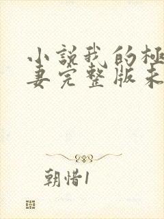 小说我的极品娇妻完整版未删减小说