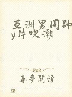 亚洲男同帅gay片吹潮