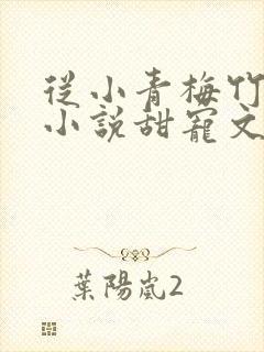 从小青梅竹马的小说甜宠文