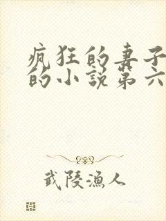 疯狂的妻子王慧的小说第六章在线阅读