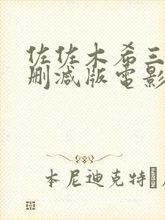 佐佐木希三级未删减版电影封面