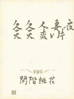 久久人妻夜夜做天天爽v片