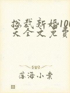 总裁新婚100天全文免费阅读