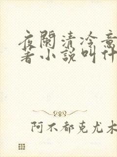 夜阑清冷意欢原著小说叫什么