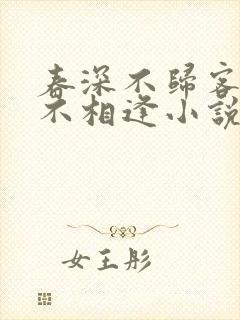 春深不归客清梦不相逢小说免费