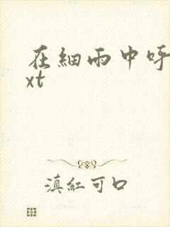 在细雨中呼喊txt