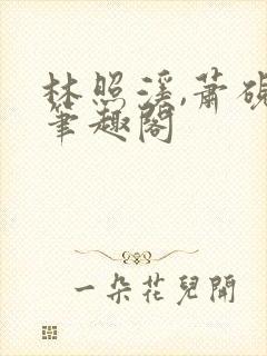 林照溪,萧砚川笔趣阁