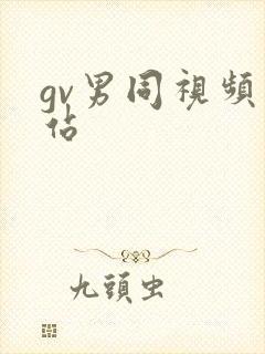 gv男同视频网站