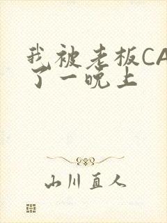 我被老板CAO了一晚上