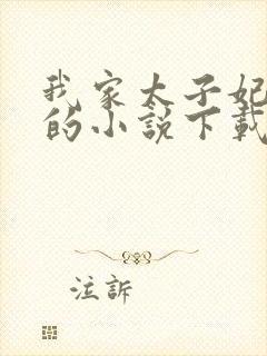 我家太子妃超凶的小说下载封面