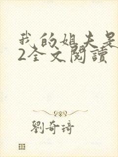 我的姐夫是太子2全文阅读