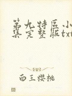 第九特区小说全集完整版txt