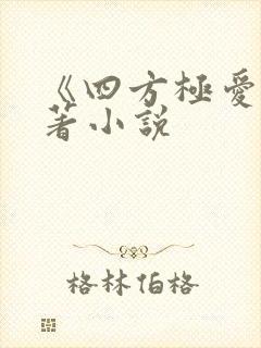 《四方极爱》原著小说