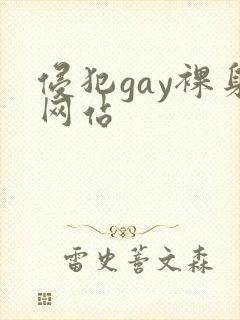 侵犯gay裸身网站
