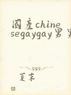 国产chinesegaygay男男