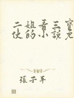 二姐看三宝驴家伙的小说免费阅读封面