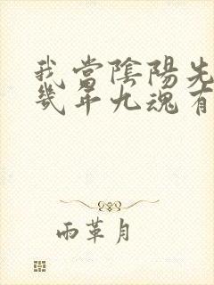 我当阴阳先生那几年九魂有声小说