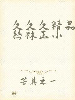 久久久精品国产丝袜正小封面