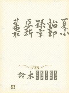 叶辰孙怡夏若雪最新章节小说心