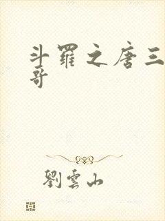 斗罗之唐三是我哥