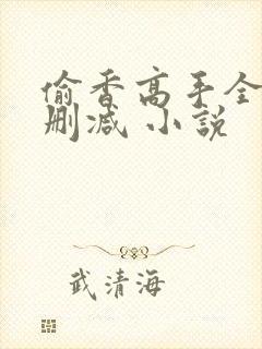 偷香高手全文无删减 小说