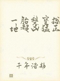 一胎双宝总裁爹地超凶猛正版封面